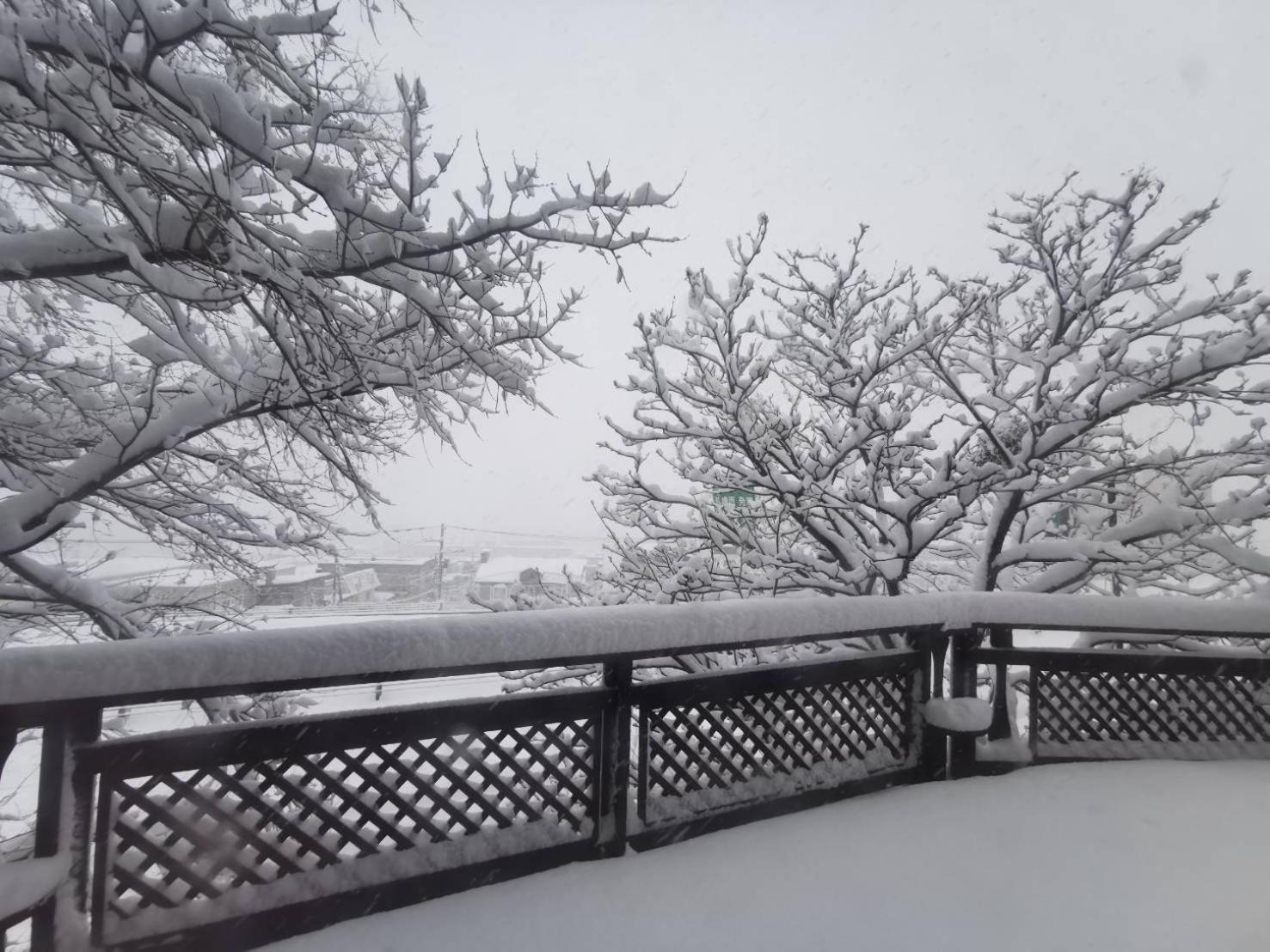 Villa Sapporo Luxury Log House 5Brm Max 18Ppl 4 Free Parking Esterno foto